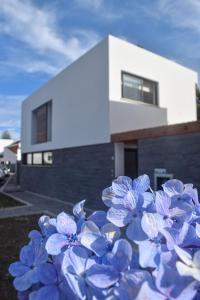Casa Alivas
