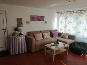 Casa Amarela - Região do Douro