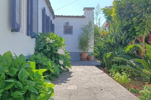 Casa Azores Zen