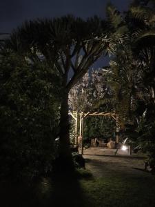 Casa Baleia á Vista