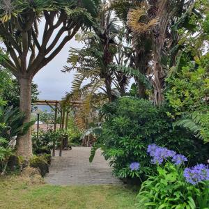 Maison de vacances Casa Baleia á Vista 140 Rua do Botelho 9545-533 São Vicente Ferreira Açores