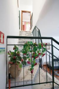 Casa Barrela I