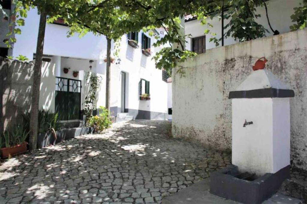 Casa Beatriz Alge, Campelo, Figueiró dos Vinhos, 3260-210 Alge