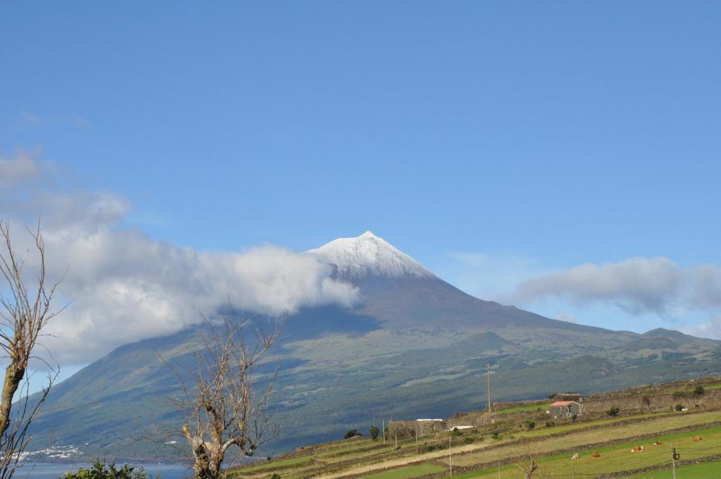 Casa da Abrótea Caminho da Piscina, 38-A, 9930-309, Santa Cruz das Ribeiras, 9930-309 Lajes do Pico