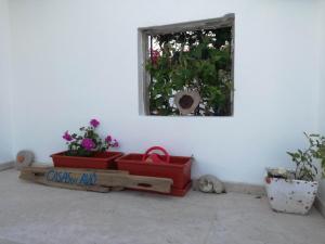 Casa da Aldeia