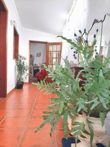 Casa da Avó Teresa
