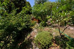 Casa da Beira Rio - Country side Vacation home