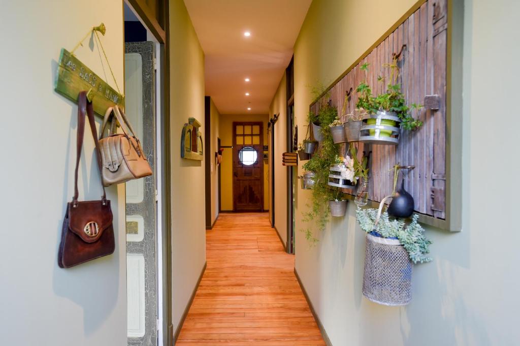 Casa da Bisa - Santa Maria - Açores 9580-115 Santa Bárbara