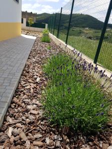 Maison de vacances Casa da Caroleira Caminho da Vinagra 2665-417 Paços Région Centre