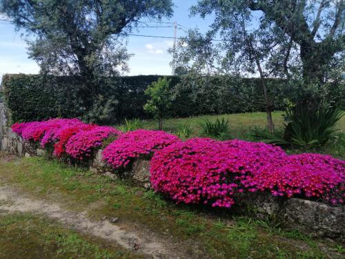 Casa da Elvira - Quinta de Sto António