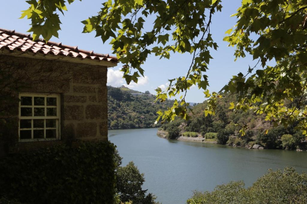 Casa da Figueira Velha Rua da Ermida, Lugar do Loureiro, nº 651 Quinta da Figueira Velha, 4660-223 Resende