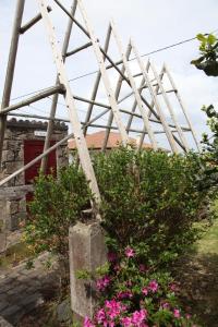 Maison de vacances casa da Madrinha Estrada Regional nº6 9630-161 Nordeste Açores