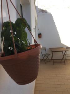 Casa da Madrinha