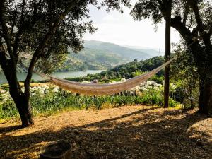 Maison de vacances Casa da Mouta - Douro Valley Rua Camilo Castelo Branco no4982 4640-435 Baião Région Nord