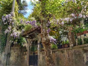 Maison de vacances Casa da Paderna Rua da Paderna 4 2710-614 Sintra -1