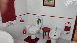 Casa da Palmeira
