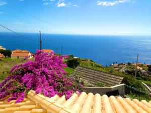 Maison de vacances Casa da Rainha Rua da Fazendinha,33 Estreito da Calheta 9370-253 Calheta Madère