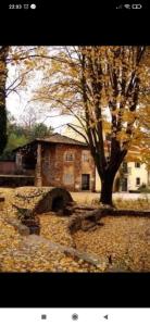 Maison de vacances Casa da Sofia Rua do bairro, n 10 5340-422 Vale de Pradinhos Région Nord