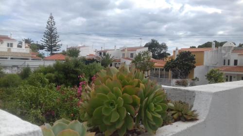 Casa das Flores