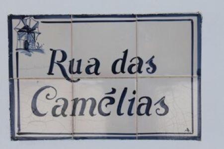 Casa de Seixe