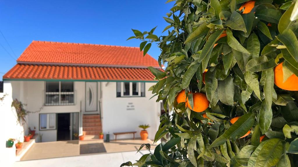 Casa do Avô Patrício - Amazing Country House Rua do Loureiro 204, 6100-297 Pampilhal