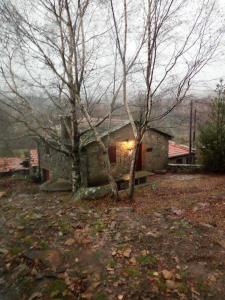 Maison de vacances Casa Do Azevinho - Branda Da Aveleira Gave Melgaço Branda Da Aveleira Gave Melgaço Casa Do Azevinho 4960-160 Branda da Aveleira Région Nord