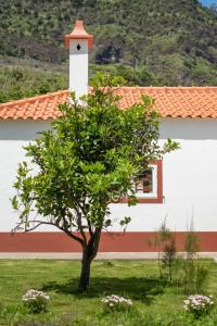 Casa do Bago