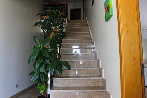 Casa do Cruzeiro