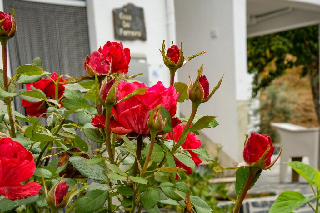 Casa do Ferreiro Regateira, Góis, 3330-212 Góis