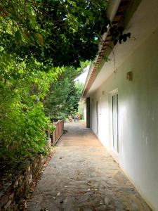 Casa do Galo / Galo House