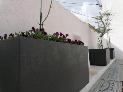 Casa do Lado - The next door