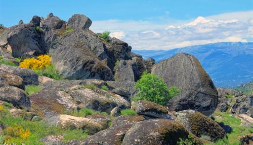 Casa do Outeiro - Ribamondego - Serra da Estrela
