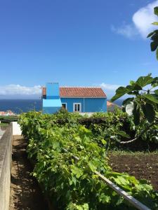 Maison de vacances Casa do Vizinho Grota do Tapete, 7 9700-368 Porto Judeu Açores
