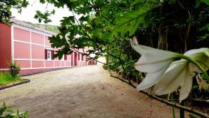 Casa Dona Beatriz