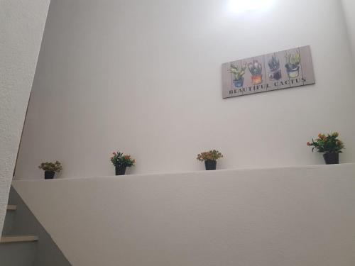 Casa dos Avós e Netos