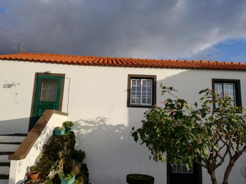 Casa dos biscoitos