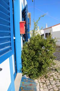 Casa dos Coelhos II