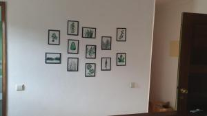 Casa dos Covelos
