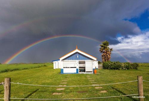 Casa dos Flamingos