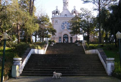 Casa dos girassóis