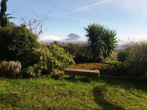 Maison de vacances Casa Farrobo Rua do Atafoneiro 21a 9900-401 Horta Açores