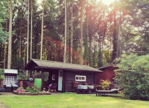 Casa Foresta - minimalistisches 1-Raum Tiny House direkt am Wald