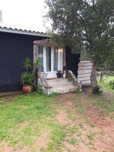 casa gattu