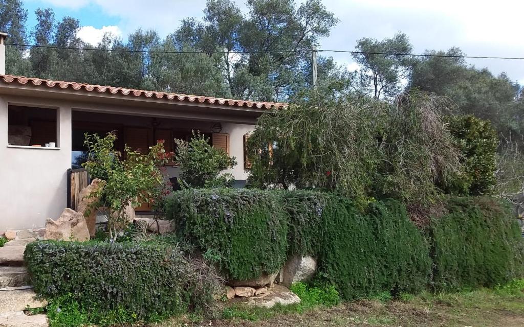 casa-lesia Rue Maréchal Juin, 20137 Porto-Vecchio