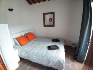 Maison de vacances Casa Malbusca Malbusca 9580-229 Almagrinha Açores