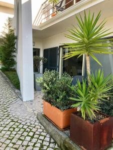 Casa na Praia Meco - Villas Vale do Meco