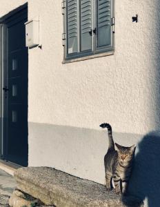 Casa Nazare