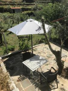 Casa Oliveiras - Casas do Sinhel