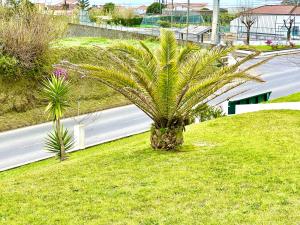 Maison de vacances Casa Quinta das Férias Estrada regional 9555-066 Ginetes Açores