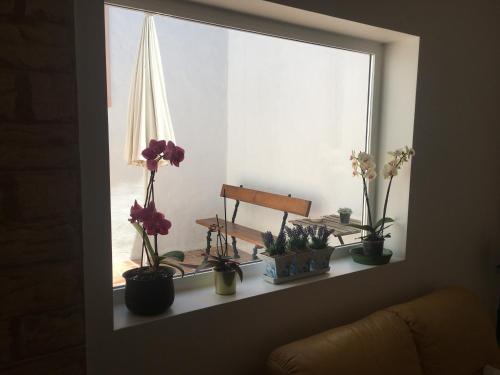 Casas da Baronia
